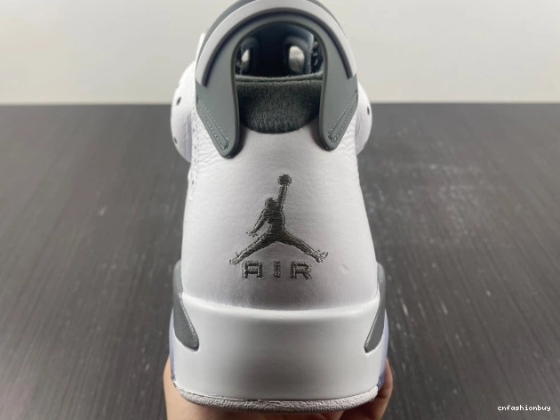 Jordan Grey Cool 6 Air CT8529-100 1031